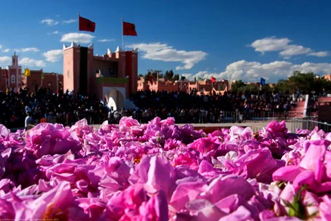 Photo d'une foule devant une porte fortifiée ornée de drapeaux rouges, avec des montagnes roses en arrière-plan sous un ciel bleu, et des fleurs roses en premier plan