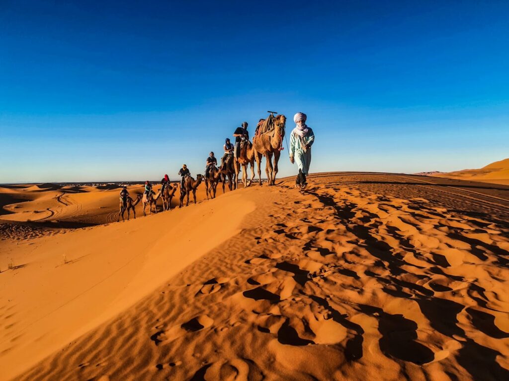 Une scène captivante d'un voyage organisé dans le désert, où un guide local vêtu d'une tenue mène traditionnellement une caravane de chameaux