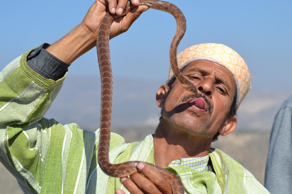 Un homme vêtu d'une tenue traditionnelle marocaine. Le serpent, est proche de son visage. Dans cette scène, souvent associés aux pièges à touristes au Maroc, où de telles pratiques peuvent mener à des demandes de paiement insistantes.