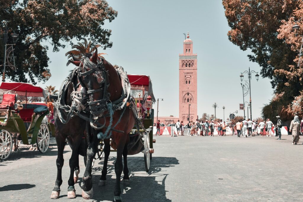 Calèche traditionnelle devant la Koutoubia à Marrakech, symbole vivant des traditions et coutumes marocaines."