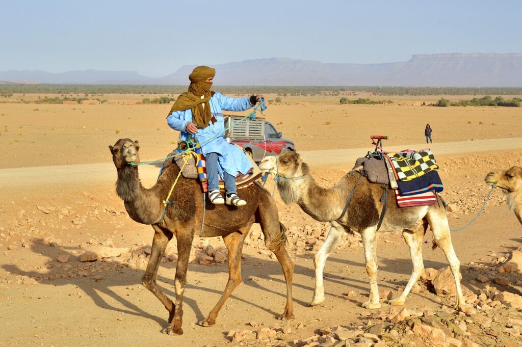 Dans le désert marocain, les balades à dos de dromadaire font partie des expériences emblématiques. Certaines excursions peuvent cacher des pièges à touristes au Maroc.