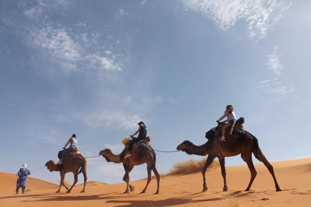 Une image captivante montrant des touristes explorant les alentours de Marrakech à dos de chameau dans un désert de dunes dorées.