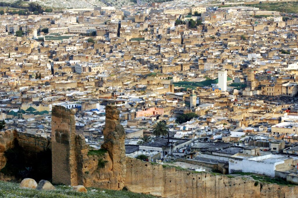 Cette image offre une vue panoramique saisissante de Fès authentique, capturant l'essence de sa médina historique depuis un point de vue élevé.