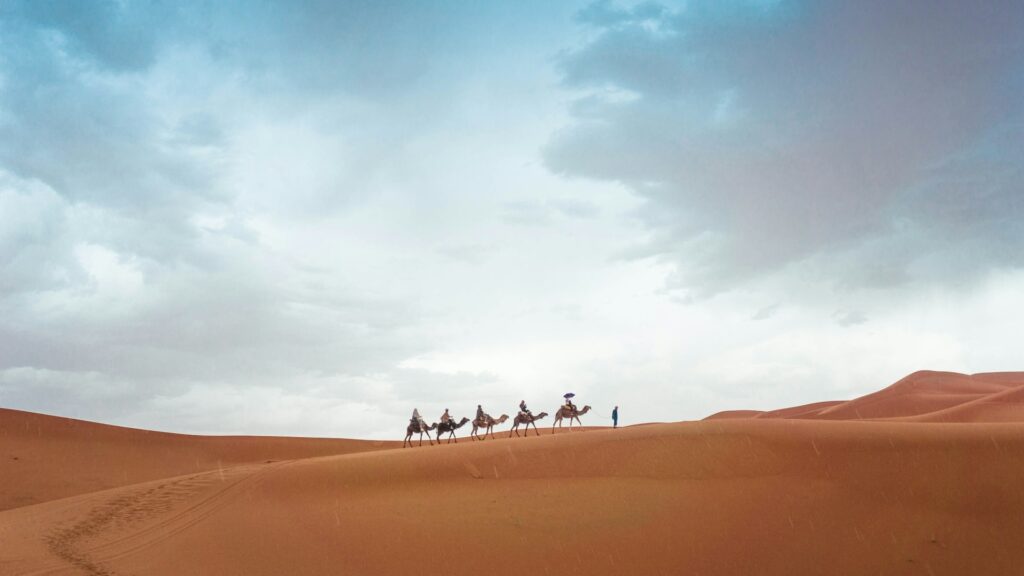 Découvrez le Maroc en été 2025 avec cette image captivante : une caravane de chameaux traverse les dunes dorées du désert du Sahara