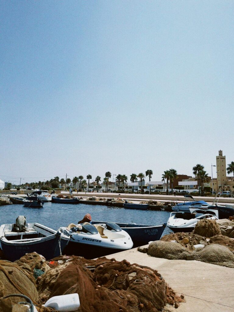 Vue du port de Tanger avec des bateaux de pêche, des filets, des palmiers et un minaret à l'arrière-plan.