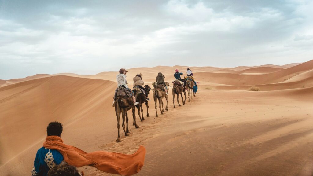 Caravane de voyageurs avançant à dos de chameaux à travers les dunes dorées du désert marocain, idéale pour illustrer les Vacances Maroc Fin d'Année 2025. »
