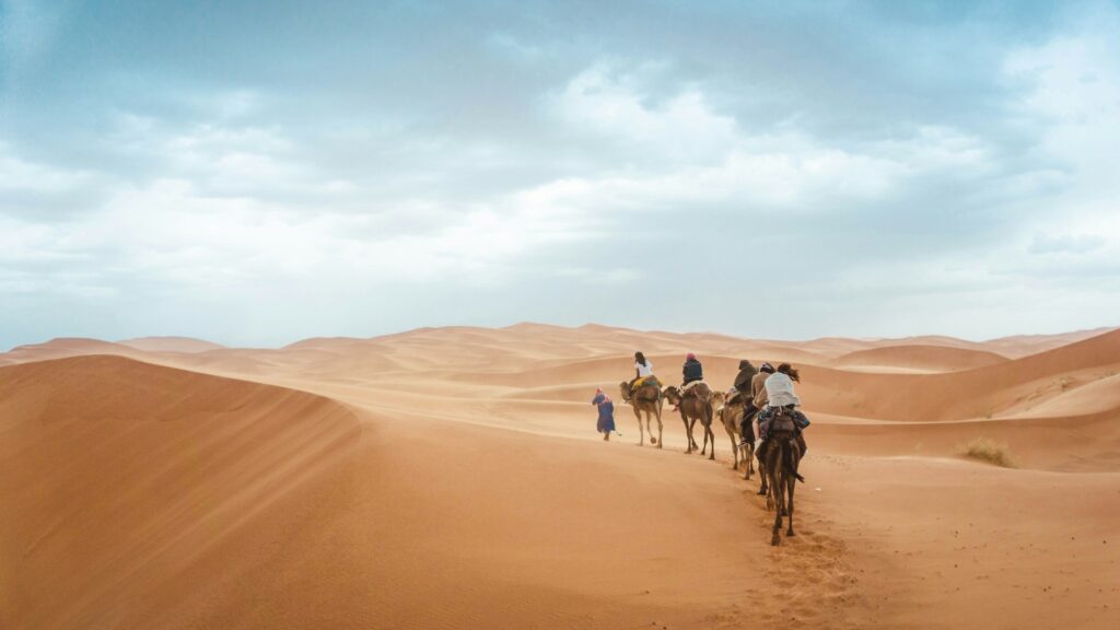 Une caravane de dromadaires traverse les dunes dorées du désert de. Une demi-douzaine de voyageurs profitent de l'expérience d'un premier voyage au Maroc.